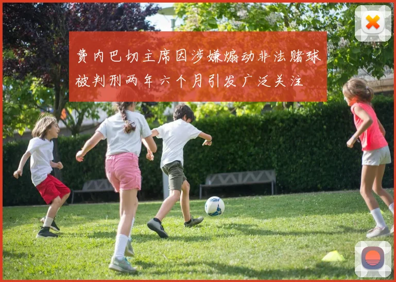 费内巴切主席因涉嫌煽动非法赌球被判刑两年六个月引发广泛关注