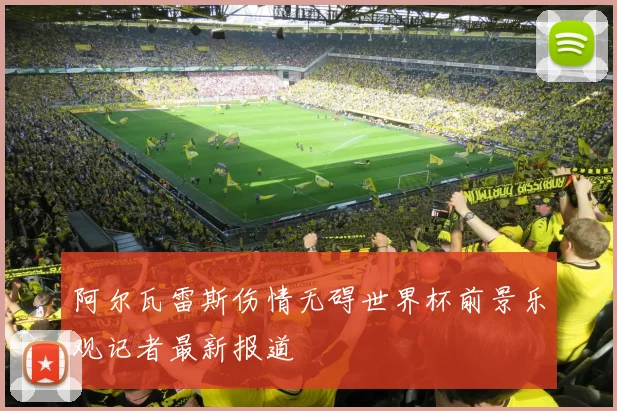 阿尔瓦雷斯伤情无碍世界杯前景乐观记者最新报道